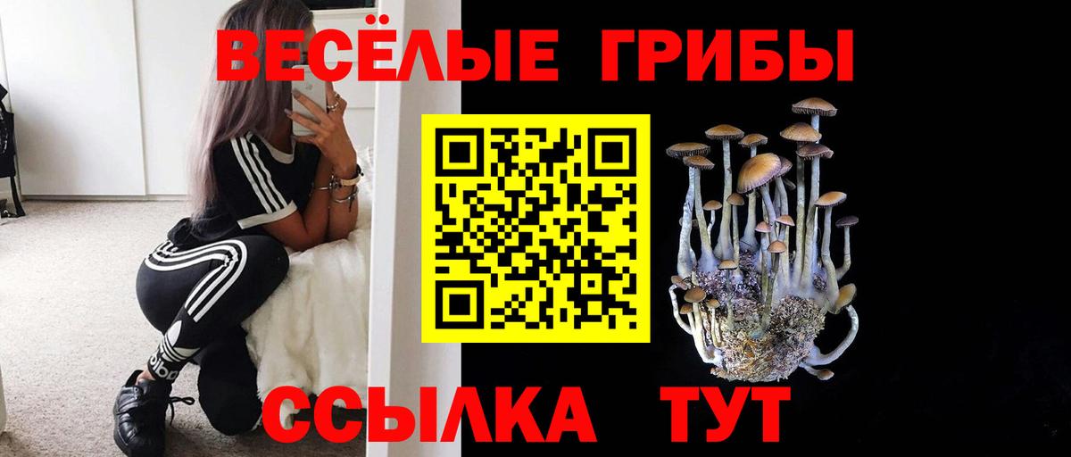 Галлюциногенные грибы ЛСД  Вход с VPN  Новочеркасск  Галлюциногенные грибы Psilocybe 