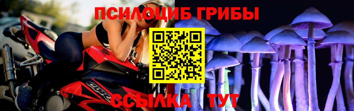 Галлюциногенные грибы GOLDEN TEACHER Новочеркасск